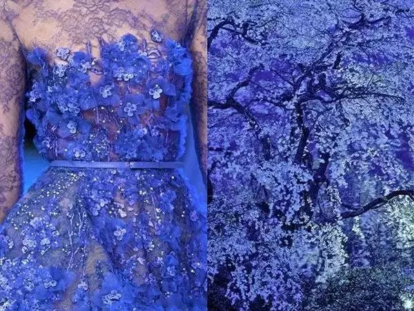 1493185961584103.jpg 21.webp.jpg