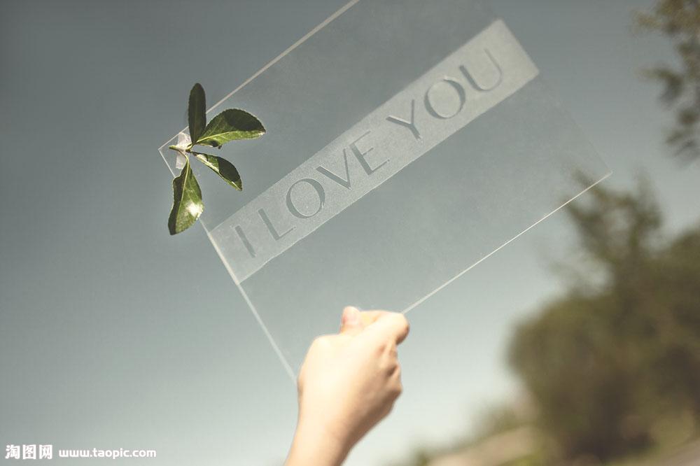 1499415770332910.jpg 1.jpg