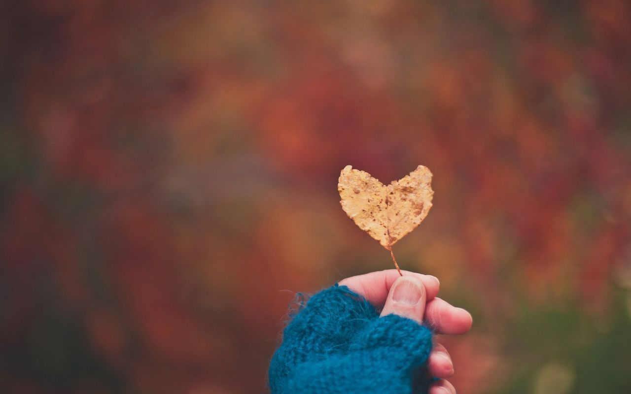 1499417563907827.jpg 9.jpg