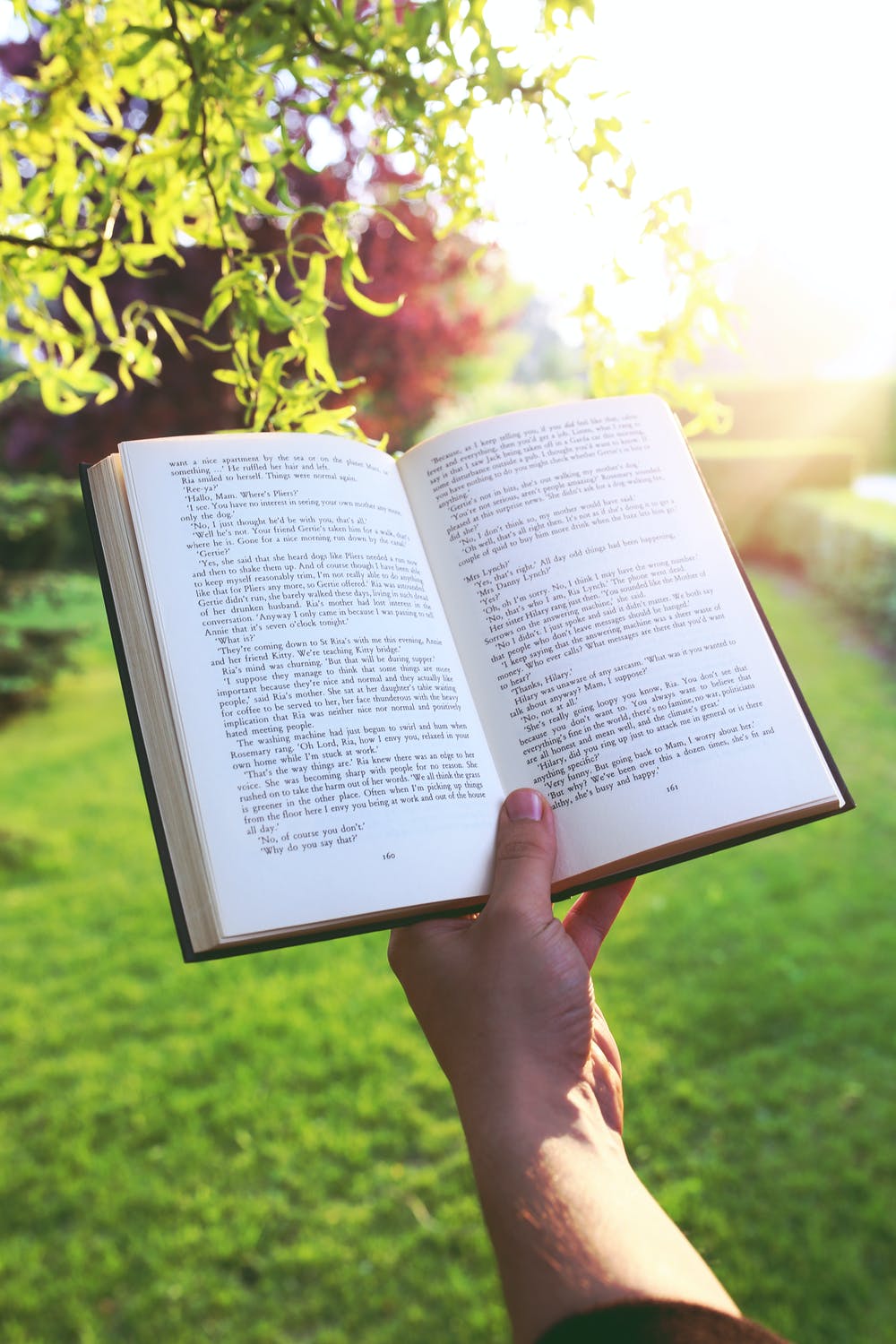 sunset-hand-garden-book.jpg